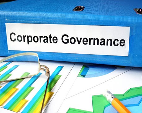 Policy & Framework Development