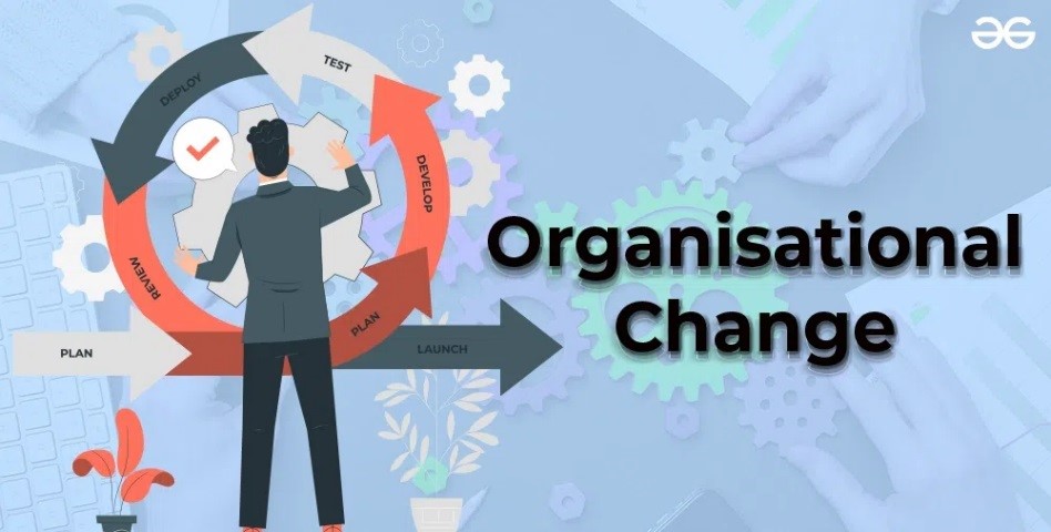 Organisational Change & Management