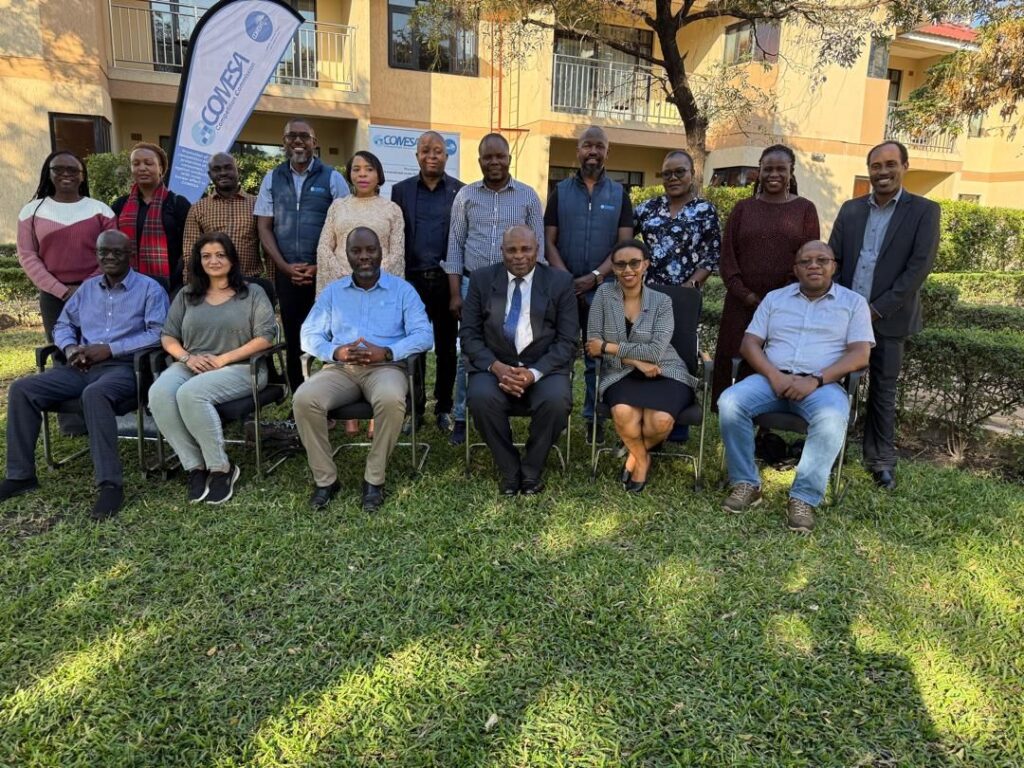 Radix Management Consulting at the COMESA Competition Commission Strategic Planning Sessions